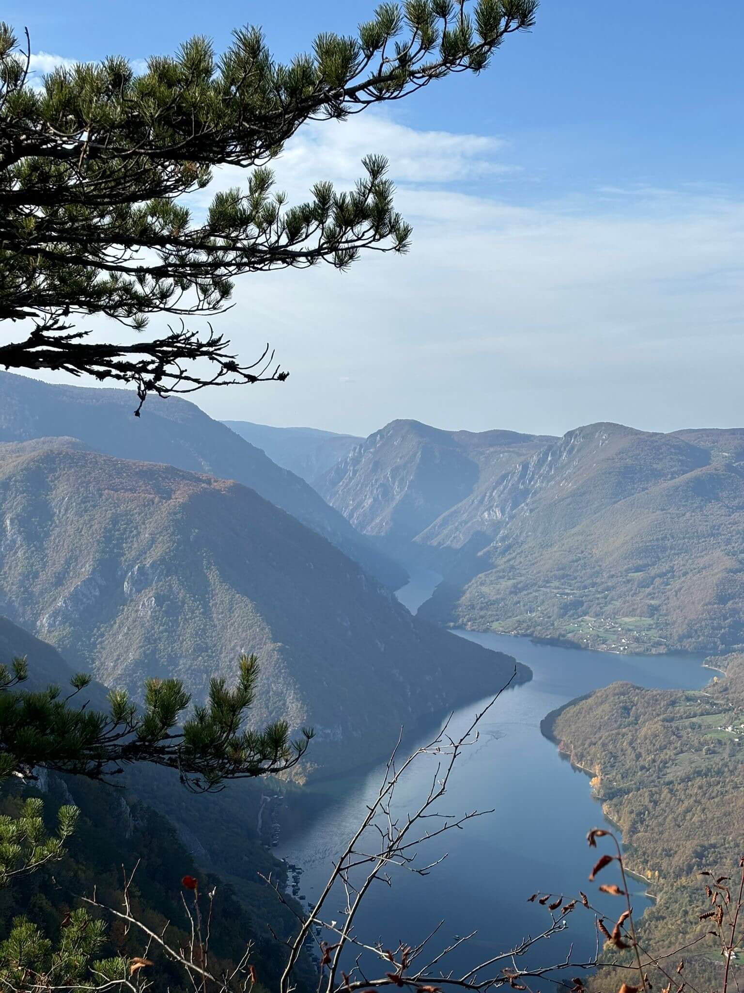 Banjska Stena – Nezaboravan Pogled i Doživljaj na Tarinom Vrhuncu