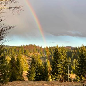 Duga na planini Tara