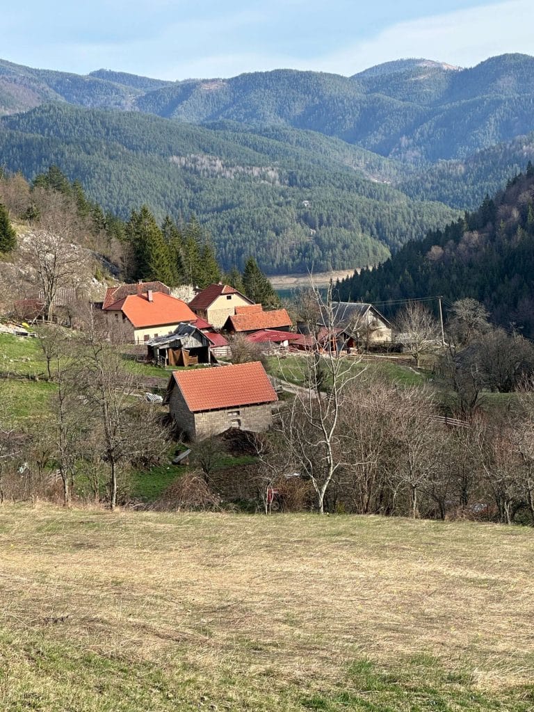 Predivan pogled i uživanje u prirodi Tara