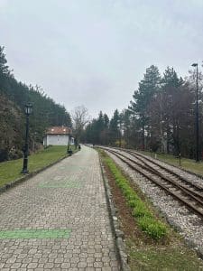 Šarganska osmica tara