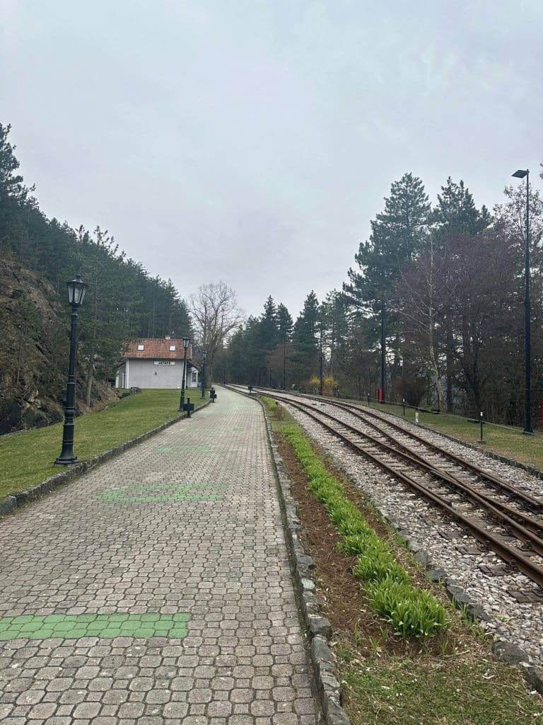 Šarganska osmica tara