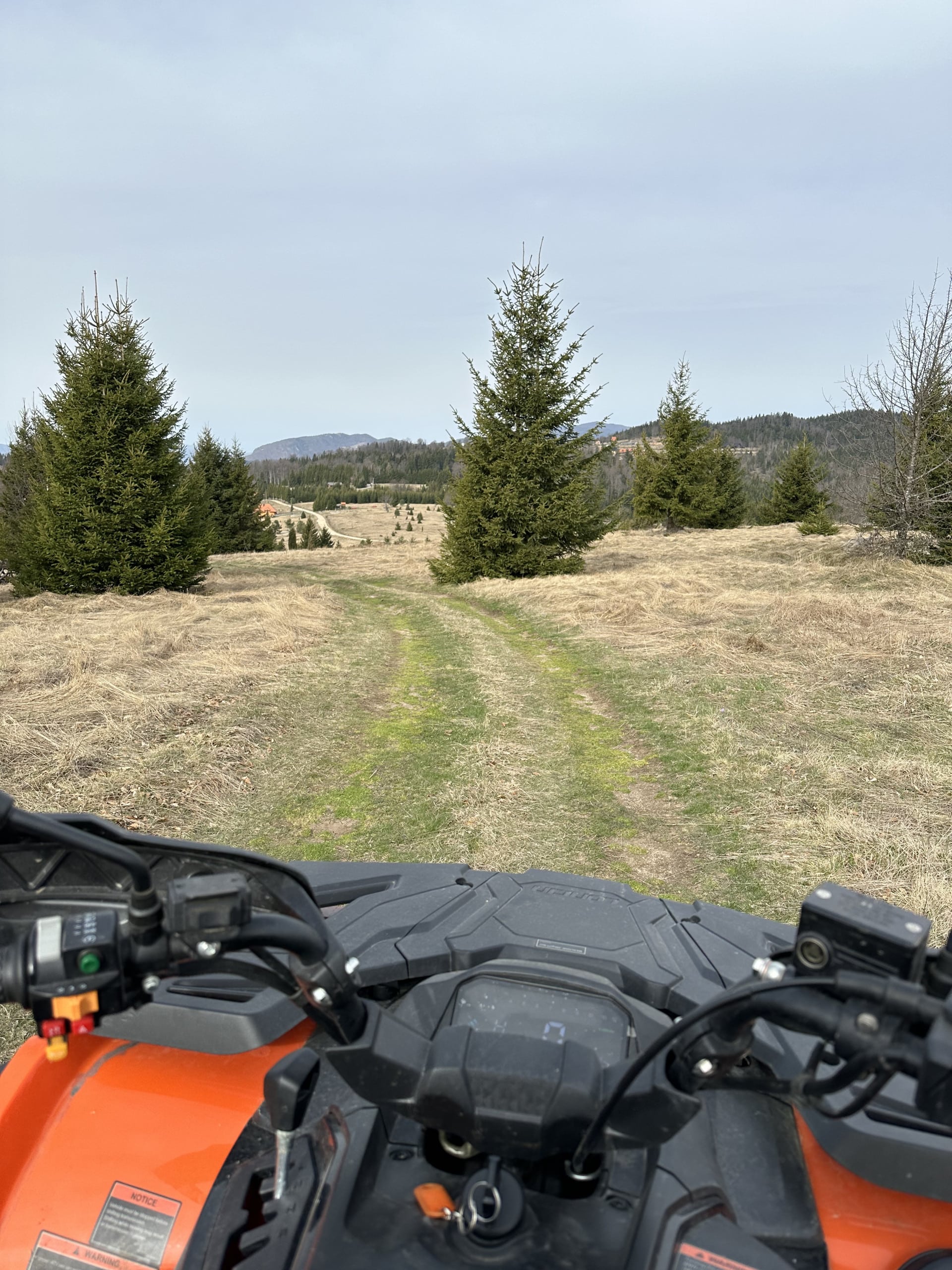 Voznja kvadom kroz šume Tare