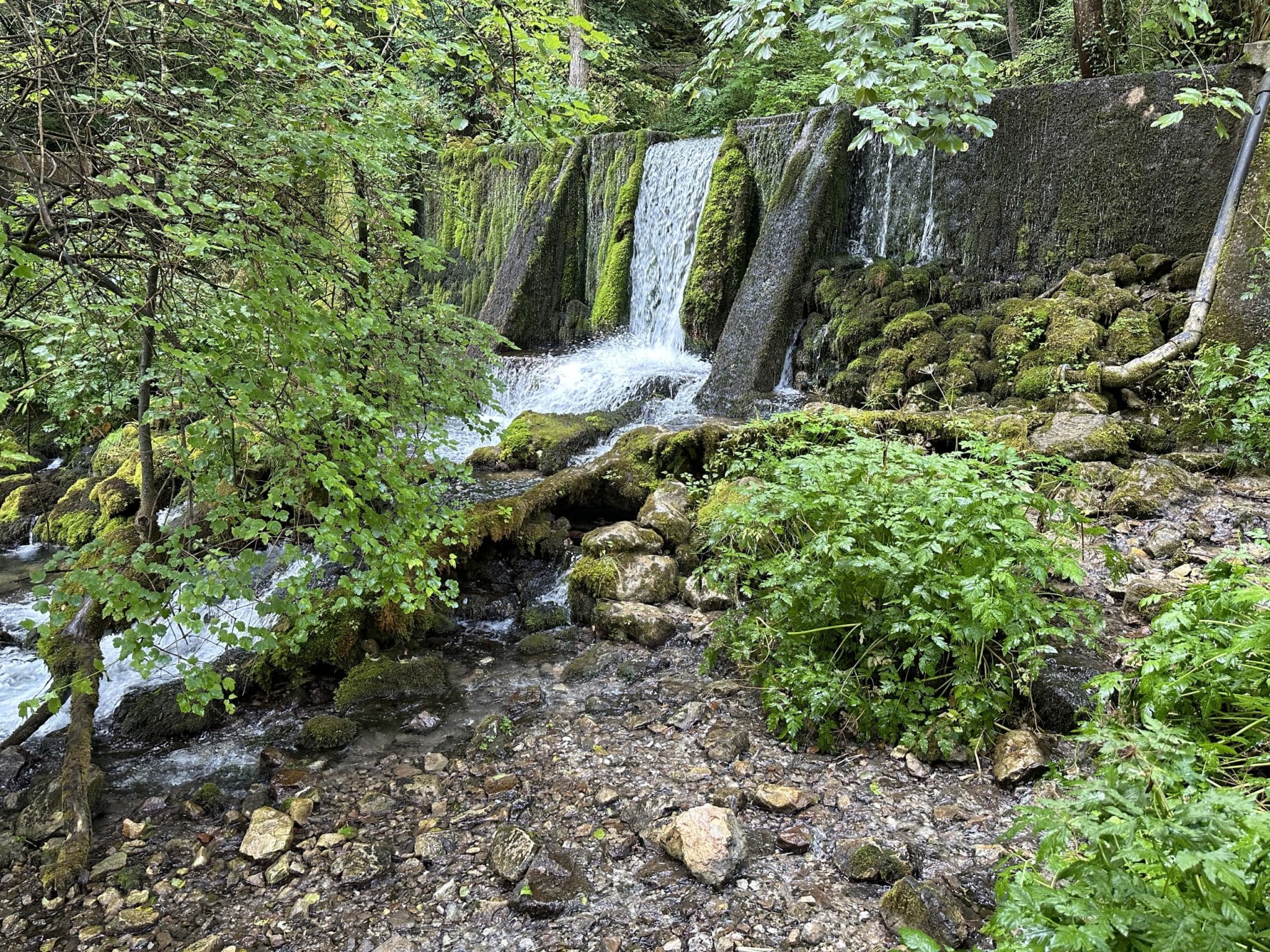 Izvor reke Vrelo - najkraće reke u Srbiji