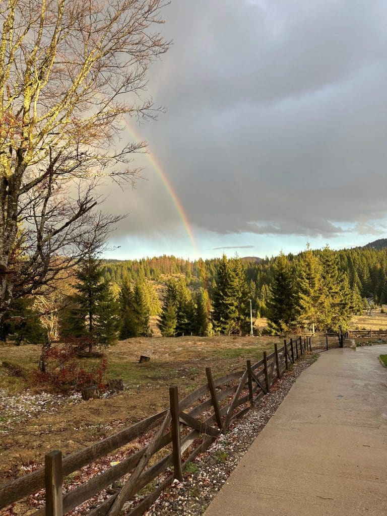 Neverovatna duga na planini Tara