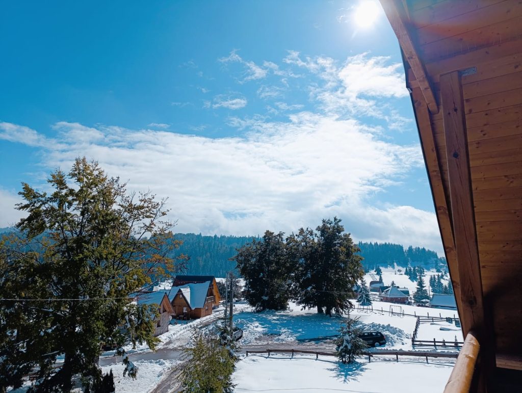 Predivan zimski dan Sekulic Tara