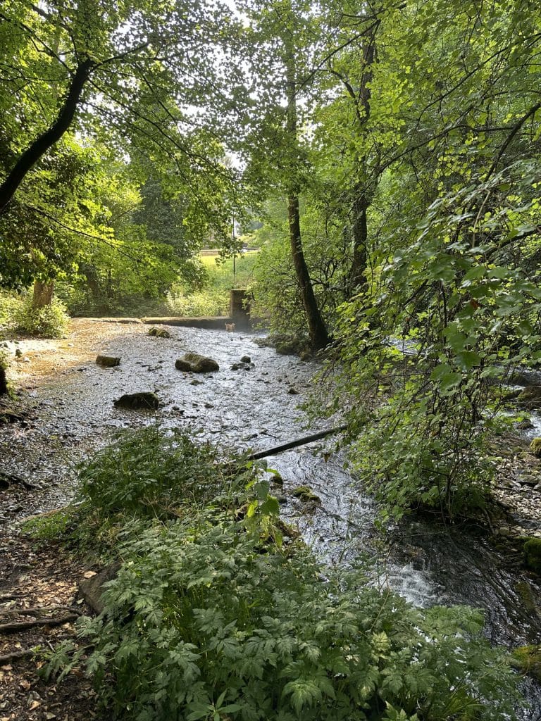 Vrelo na Tari -najkraca reka na svetu